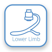 Lower Limb
