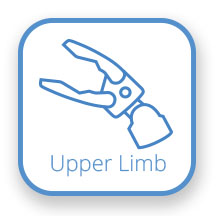 Upper Limb
